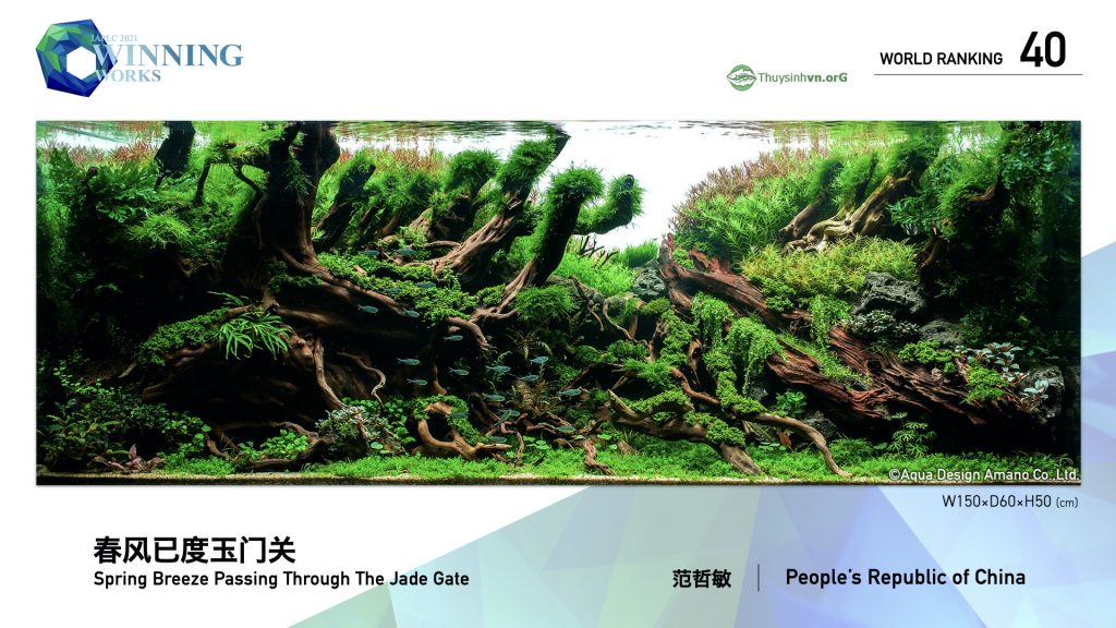 40 - TOP 100 IAPLC 2021 - Aquascape & Planted Tank Guide
