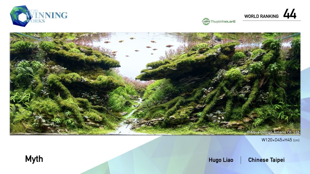 44 - TOP 100 IAPLC 2021 - Aquascape & Planted Tank Guide