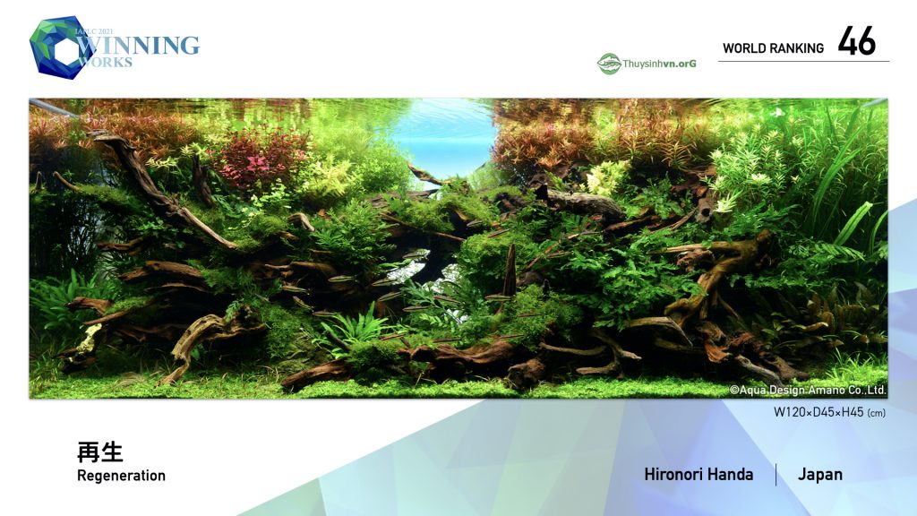 46 - TOP 100 IAPLC 2021 - Aquascape & Planted Tank Guide