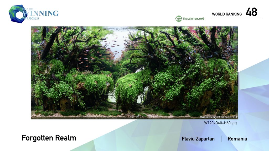 48 - TOP 100 IAPLC 2021 - Aquascape & Planted Tank Guide
