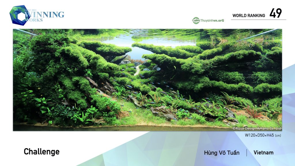 49 - TOP 100 IAPLC 2021 - Aquascape & Planted Tank Guide