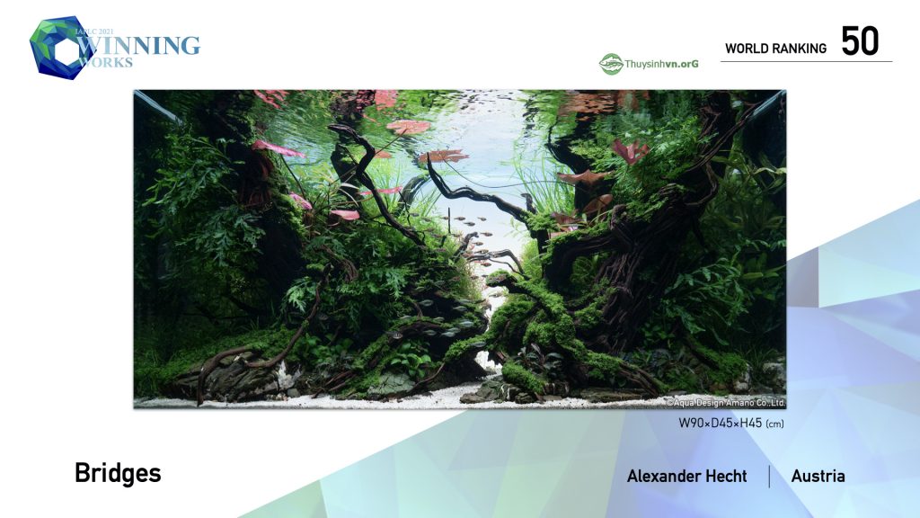 50 - TOP 100 IAPLC 2021 - Aquascape & Planted Tank Guide