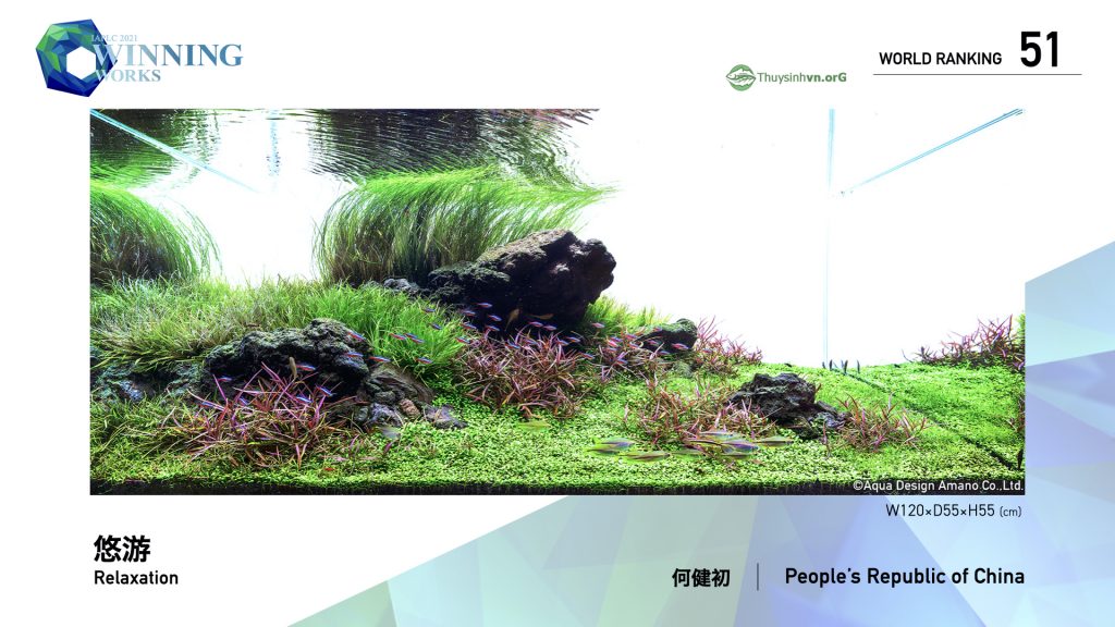 51 - TOP 100 IAPLC 2021 - Aquascape & Planted Tank Guide