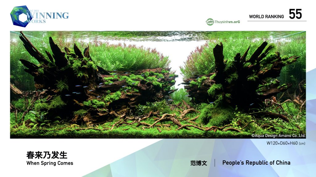 55 - TOP 100 IAPLC 2021 - Aquascape & Planted Tank Guide