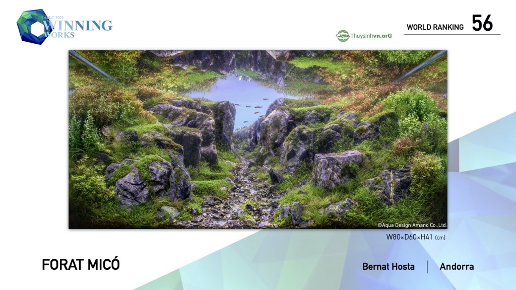 56 - TOP 100 IAPLC 2021 - Aquascape & Planted Tank Guide