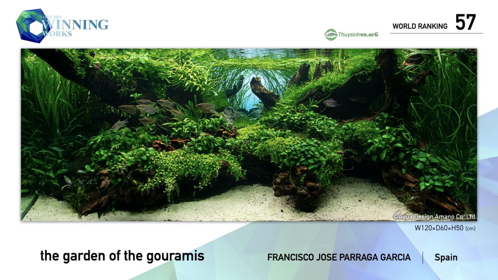 57 - TOP 100 IAPLC 2021 - Aquascape & Planted Tank Guide