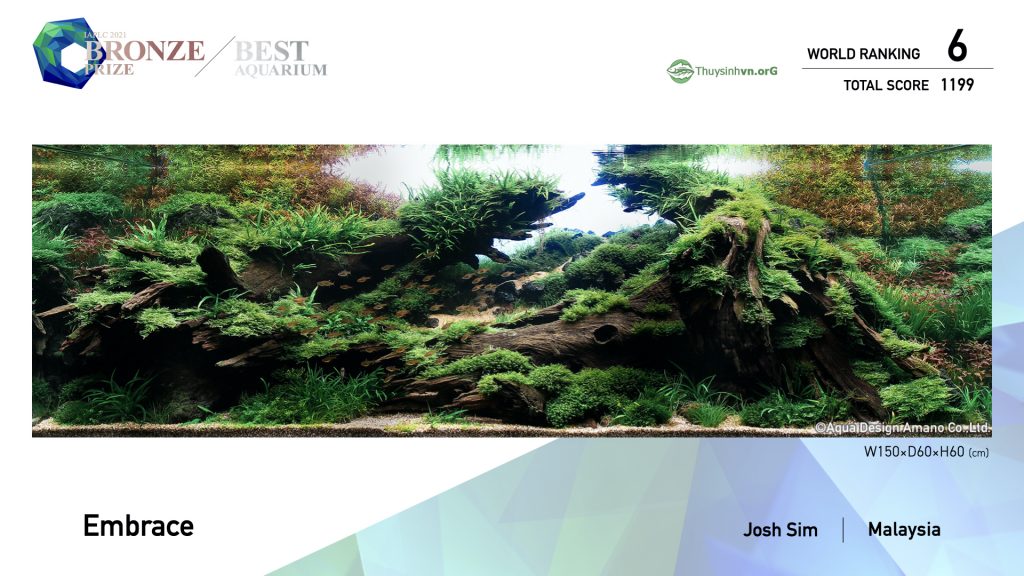 6 - TOP 100 IAPLC 2021 - Aquascape & Planted Tank Guide