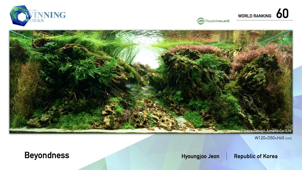 60 - TOP 100 IAPLC 2021 - Aquascape & Planted Tank Guide