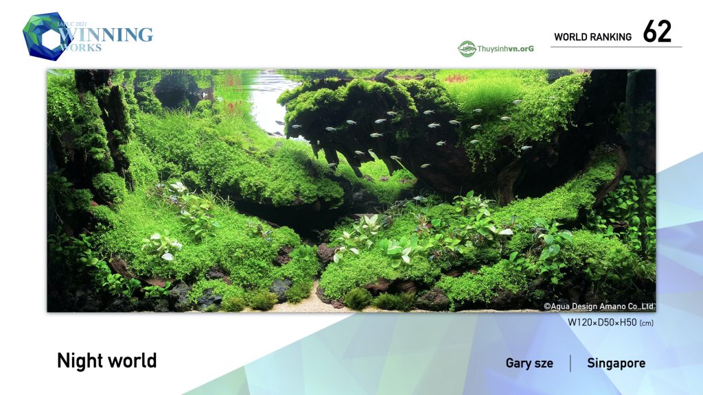 62 - TOP 100 IAPLC 2021 - Aquascape & Planted Tank Guide