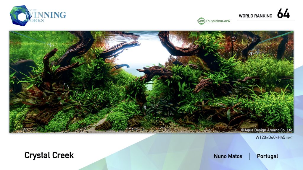 64 - TOP 100 IAPLC 2021 - Aquascape & Planted Tank Guide