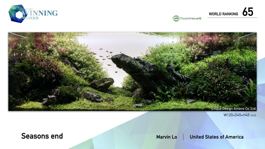 65 - TOP 100 IAPLC 2021 - Aquascape & Planted Tank Guide