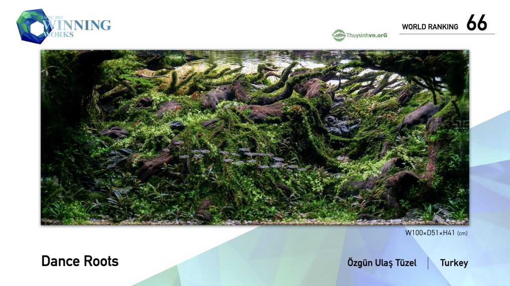 66 - TOP 100 IAPLC 2021 - Aquascape & Planted Tank Guide