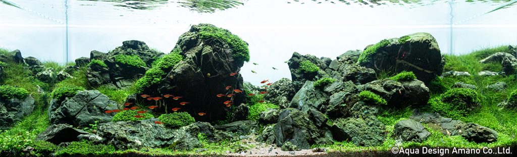 68 - TOP 100 IAPLC 2020 - Aquascape & Planted Tank Guide