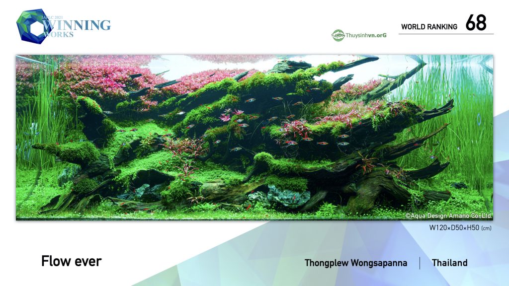 68 - TOP 100 IAPLC 2021 - Aquascape & Planted Tank Guide