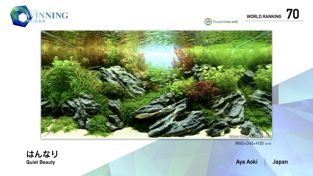 70 - TOP 100 IAPLC 2021 - Aquascape & Planted Tank Guide