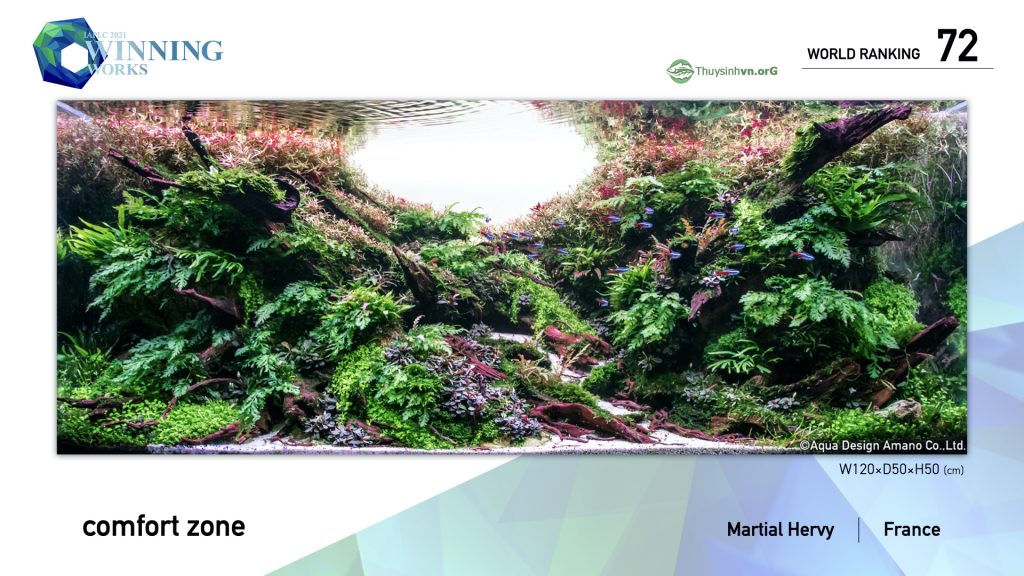 72 - TOP 100 IAPLC 2021 - Aquascape & Planted Tank Guide