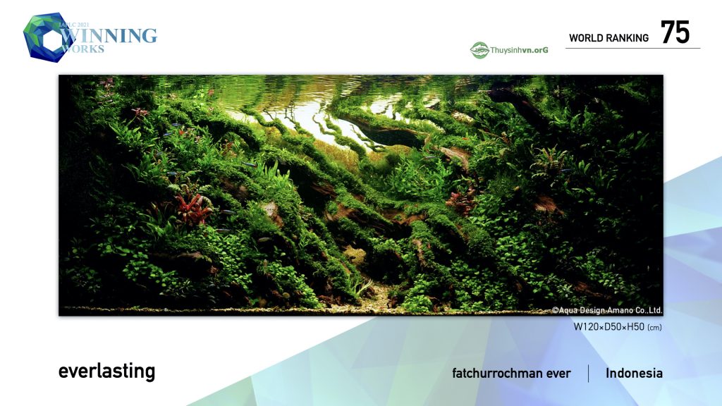 75 - TOP 100 IAPLC 2021 - Aquascape & Planted Tank Guide