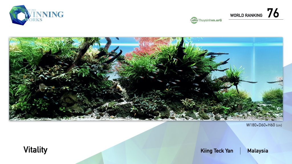 76 - TOP 100 IAPLC 2021 - Aquascape & Planted Tank Guide
