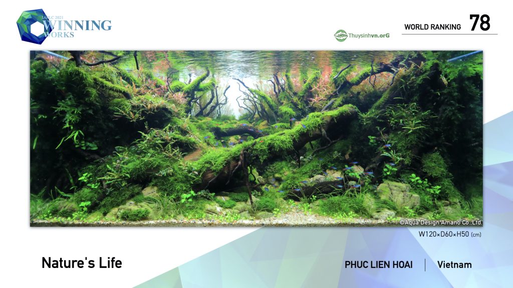 78 - TOP 100 IAPLC 2021 - Aquascape & Planted Tank Guide