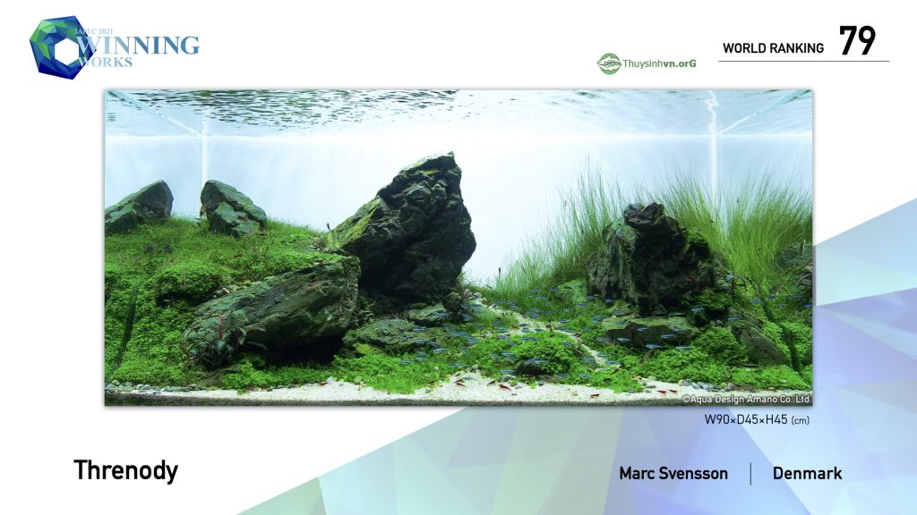 79 - TOP 100 IAPLC 2021 - Aquascape & Planted Tank Guide