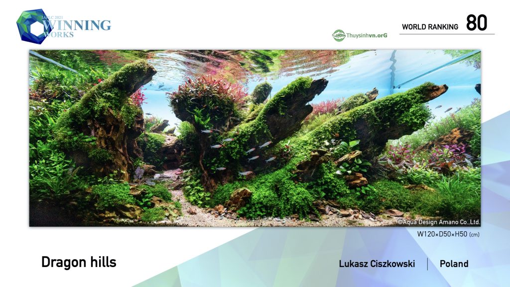 80 - TOP 100 IAPLC 2021 - Aquascape & Planted Tank Guide