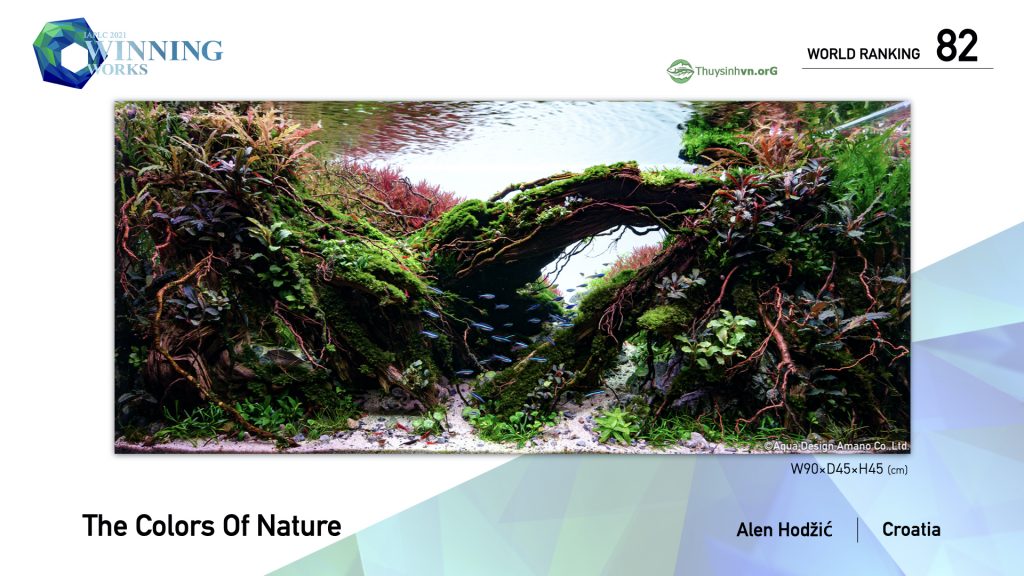 82 - TOP 100 IAPLC 2021 - Aquascape & Planted Tank Guide