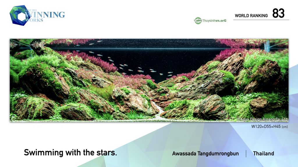 83 - TOP 100 IAPLC 2021 - Aquascape & Planted Tank Guide