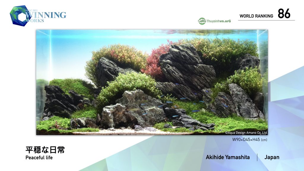 86 - TOP 100 IAPLC 2021 - Aquascape & Planted Tank Guide