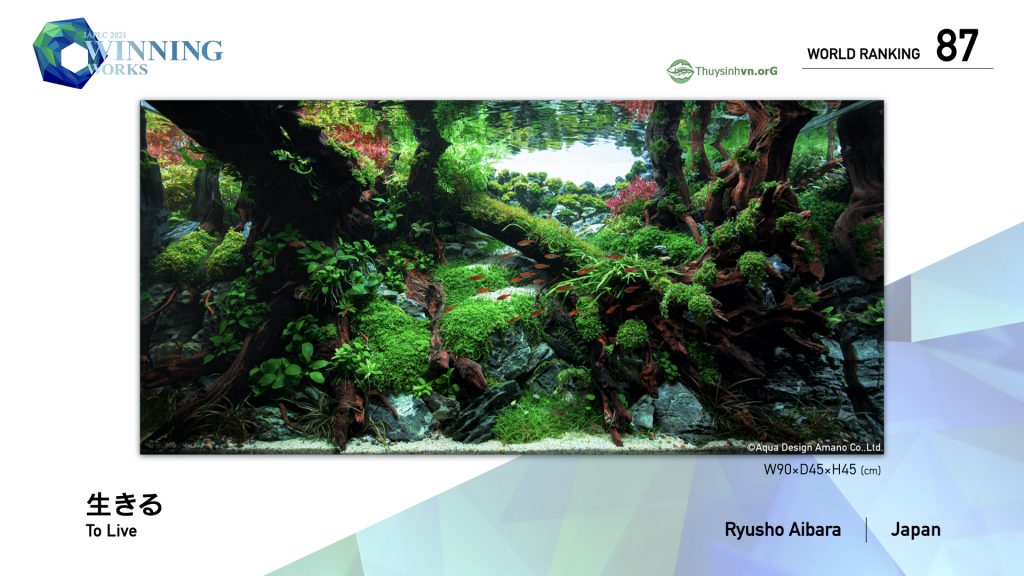 87 - TOP 100 IAPLC 2021 - Aquascape & Planted Tank Guide