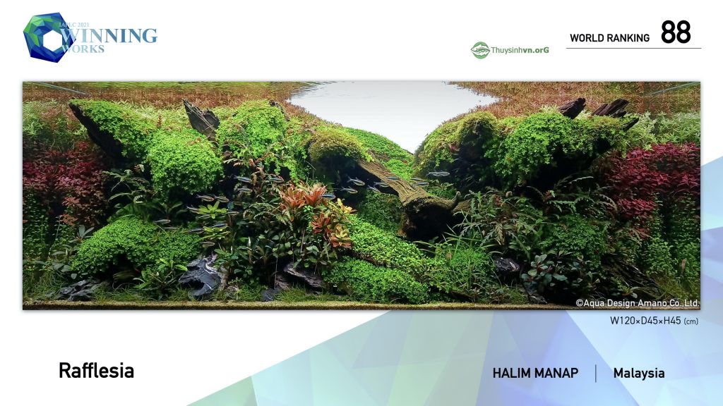 88 - TOP 100 IAPLC 2021 - Aquascape & Planted Tank Guide