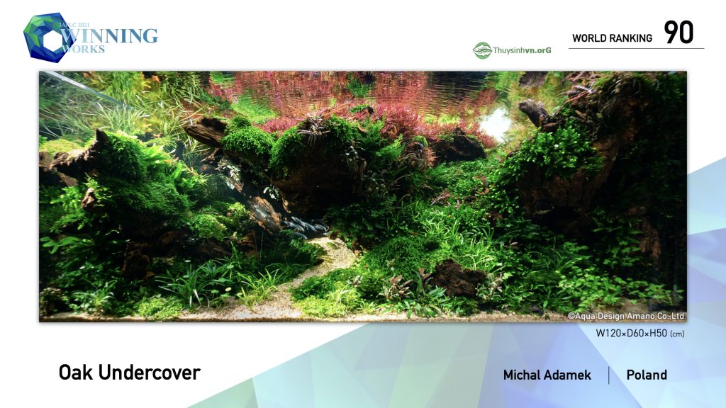 90 - TOP 100 IAPLC 2021 - Aquascape & Planted Tank Guide