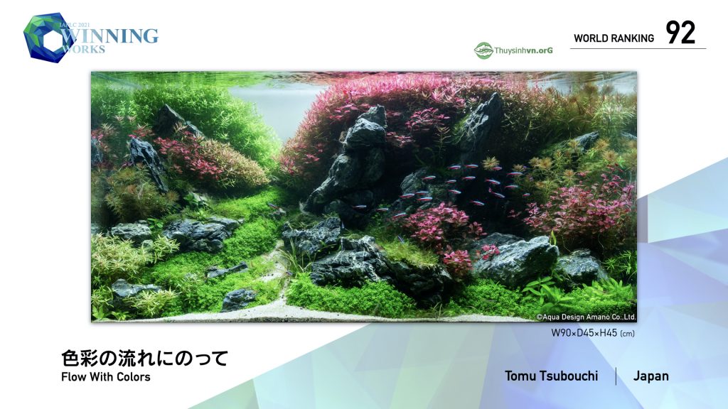 92 - TOP 100 IAPLC 2021 - Aquascape & Planted Tank Guide