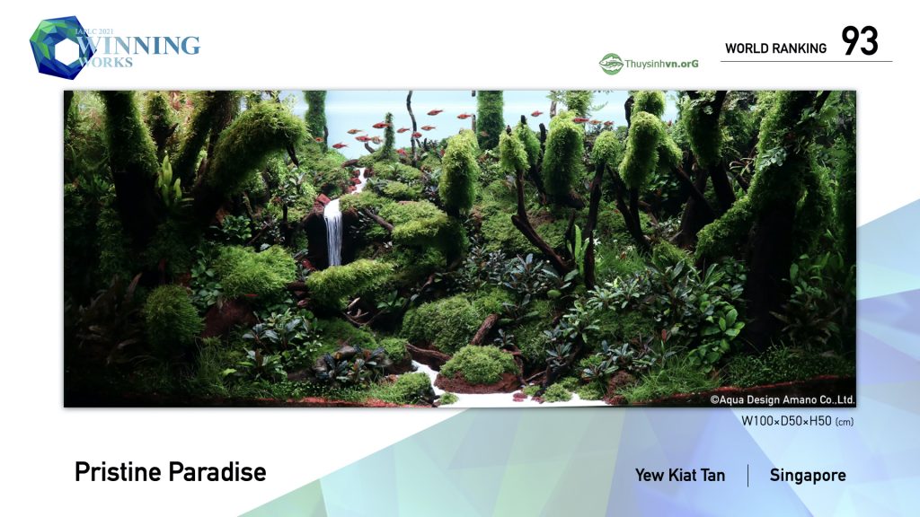 93 - TOP 100 IAPLC 2021 - Aquascape & Planted Tank Guide