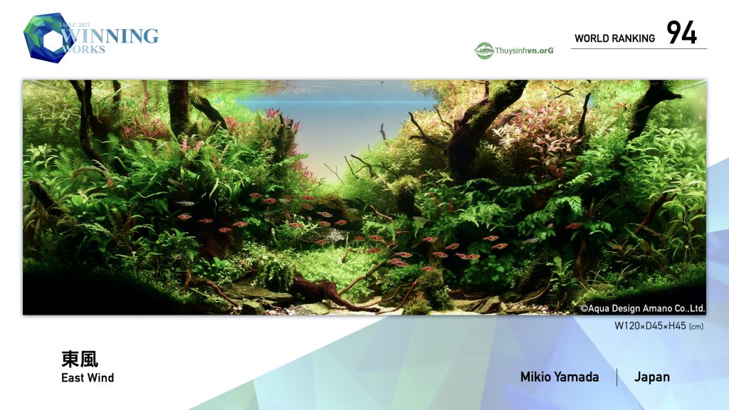 94 - TOP 100 IAPLC 2021 - Aquascape & Planted Tank Guide