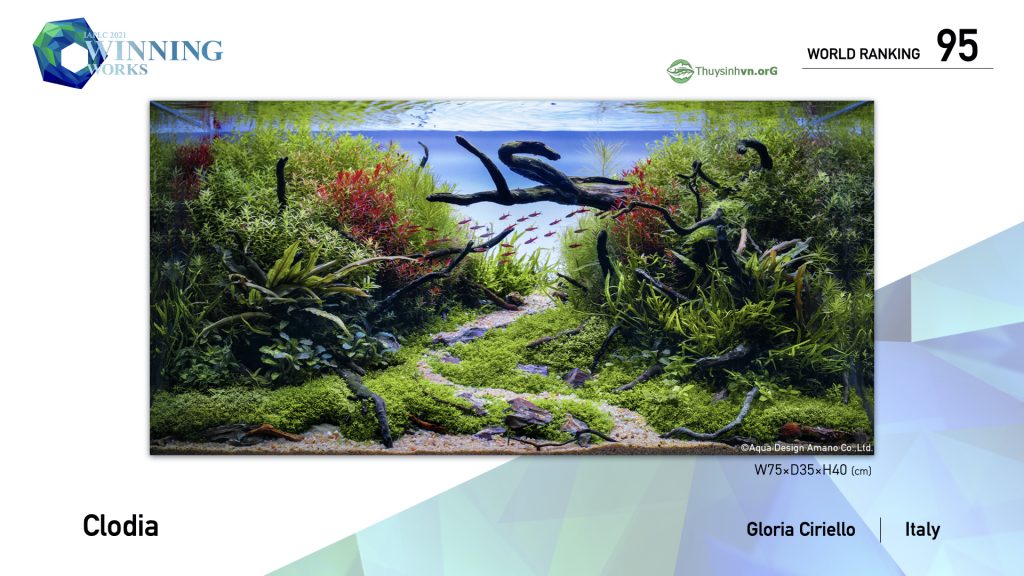 95 - TOP 100 IAPLC 2021 - Aquascape & Planted Tank Guide