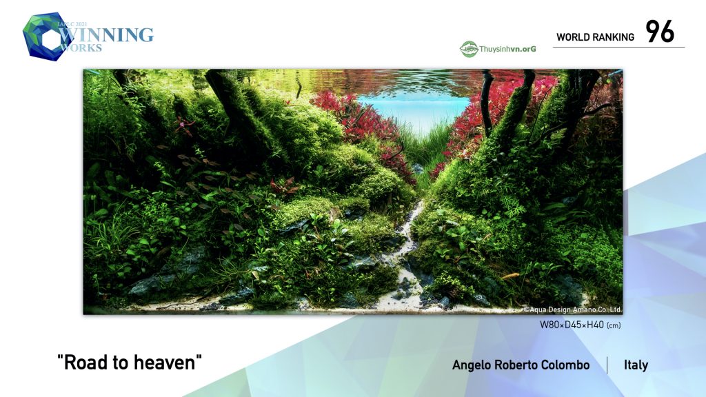 96 - TOP 100 IAPLC 2021 - Aquascape & Planted Tank Guide