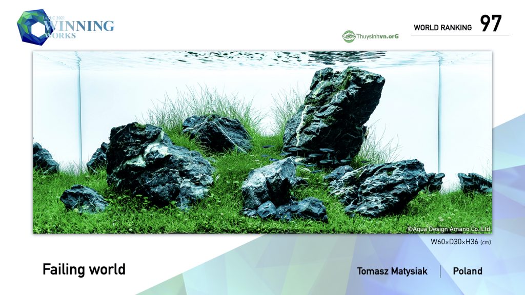 97 - TOP 100 IAPLC 2021 - Aquascape & Planted Tank Guide