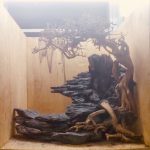 977d195c011a15fd2e81d802692ba021 - Đá Trầm Tích Đen - Aquascape & Planted Tank Guide