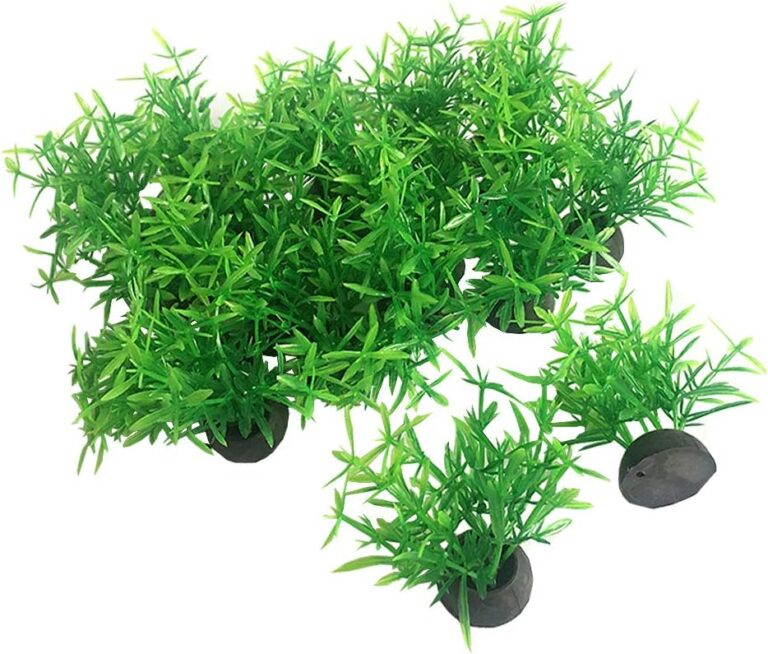 Aquarium Plant Fish Tank Decoration 20 Pieces Small/1" Tall Plastic Artificial Plant Goldfish Hidden Mini Grass Set (Green-A) - Aquarium Plant Fish Tank Decoration 20 Pieces Small/1“ Tall Plastic Artificial Plant Goldfish Hidden Mini Grass Set (Green-A) - Aqua Plants Hub