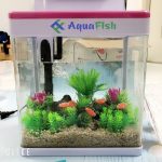 MJ 260 Glass Fish Tank Set Size 26*17*29cm (includes light and filter) - Transparent Cast Glass Tank - Aquascape & Planted Tank Guide