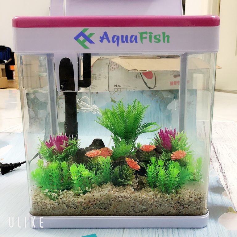 MJ 260 Glass Fish Tank Set Size 26*17*29cm (includes light and filter) - Transparent Cast Glass Tank - Aquascape & Planted Tank Guide