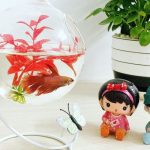 mẫu bể cá mini