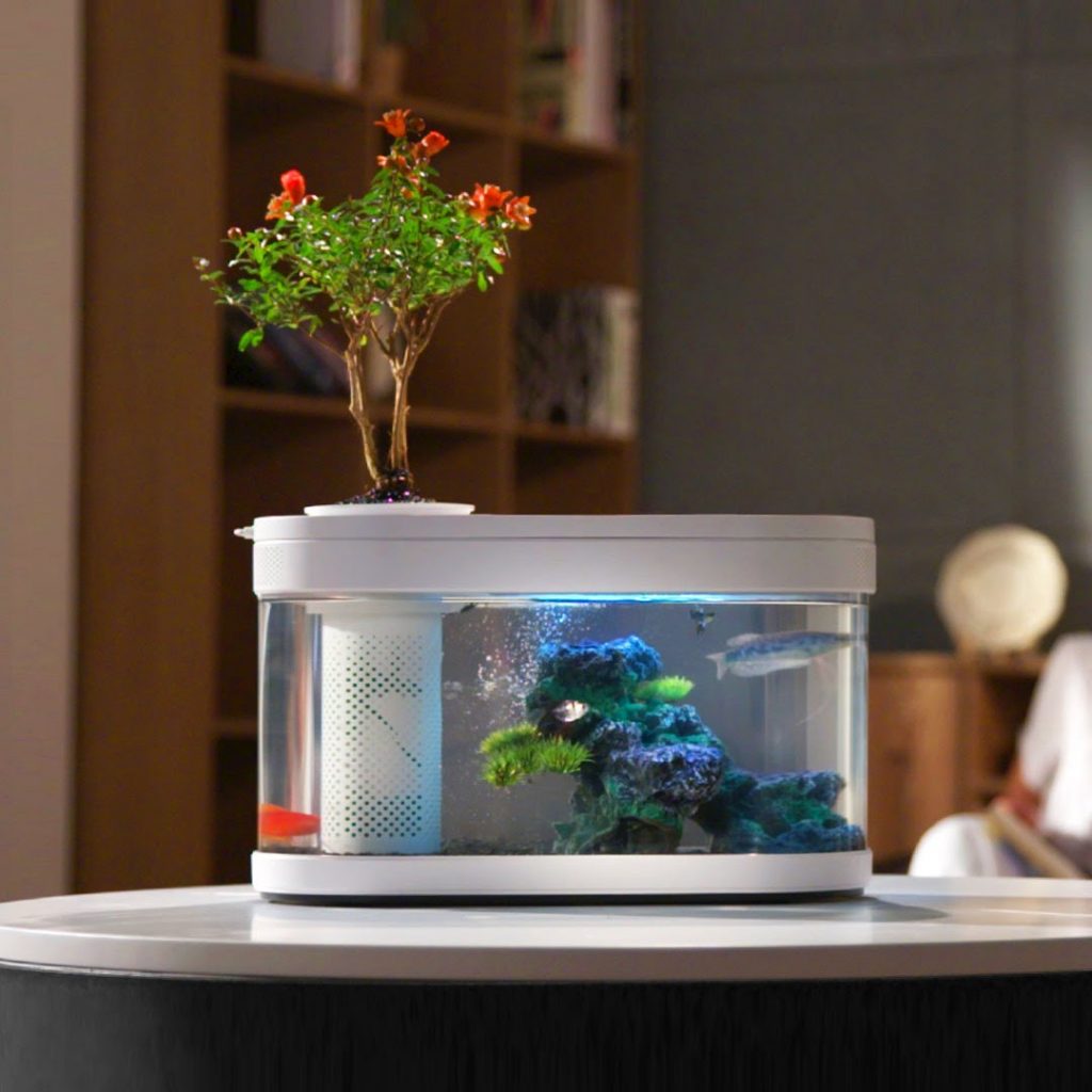be-ca-xiaomi - KHÁM PHÁ BỂ CÁ THUỶ SINH THÔNG MINH XIAOMI - Aquascape & Planted Tank Guide