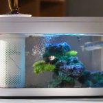 be-ca-xiaomi - KHÁM PHÁ BỂ CÁ THUỶ SINH THÔNG MINH XIAOMI - Aquascape & Planted Tank Guide