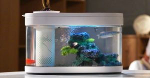 be-ca-xiaomi - KHÁM PHÁ BỂ CÁ THUỶ SINH THÔNG MINH XIAOMI - Aquascape & Planted Tank Guide