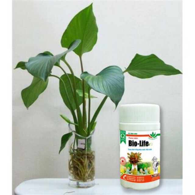 BioLife 100 ml Dinh dưỡng cho cây trồng thủy canh, thủy sinh ☘️ - Dung Dịch Thuỷ Canh Biolife - Aquascape & Planted Tank Guide
