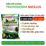 Chế phẩm vi sinh Trichoderma TRIBAC. Nấm đối kháng cực mạnh. Ngăn chặn tuyến trùng, nấm bệnh gây vàng lá thối rễ. Ủ phân chuồng hoai mục - Chế phẩm Trichoderma Bacillus - Aquascape & Planted Tank Guide