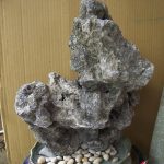 catfish - Cat Ear Stone Aquascaping - Aquascape & Planted Tank Guide