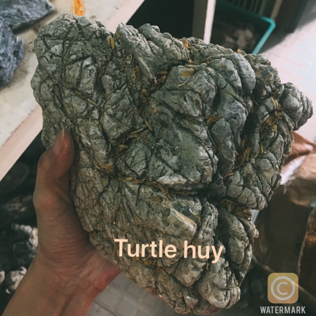 Đá da voi thuỷ sinh size 10-20cm (1KG) - Aquascape & Planted Tank Guide