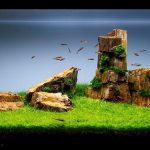 ho-thuy-sinh-dung-da-go-hoa-thach-an-tuong - Đá Gỗ Hoá Thạch - Aquascape & Planted Tank Guide